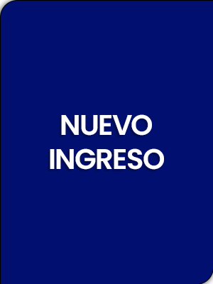 Nuevo ingreso
