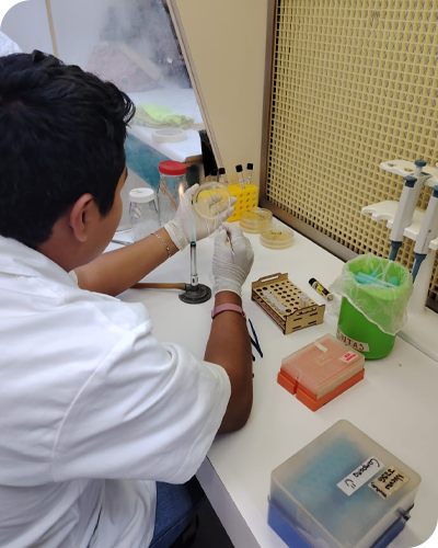 Revalidación de materias